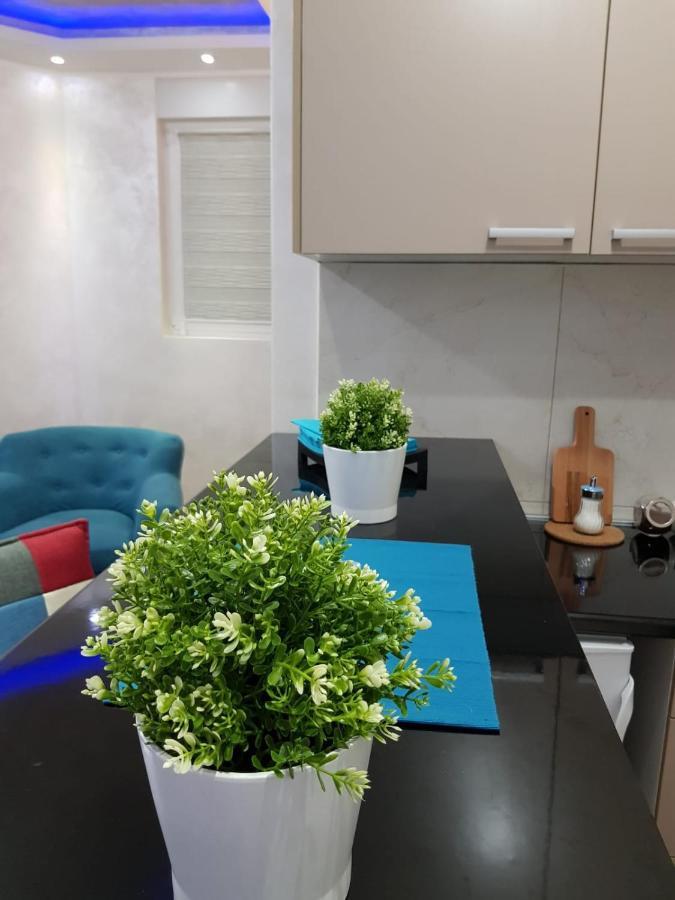 Apartmani Venera เบลเกรด ภายนอก รูปภาพ