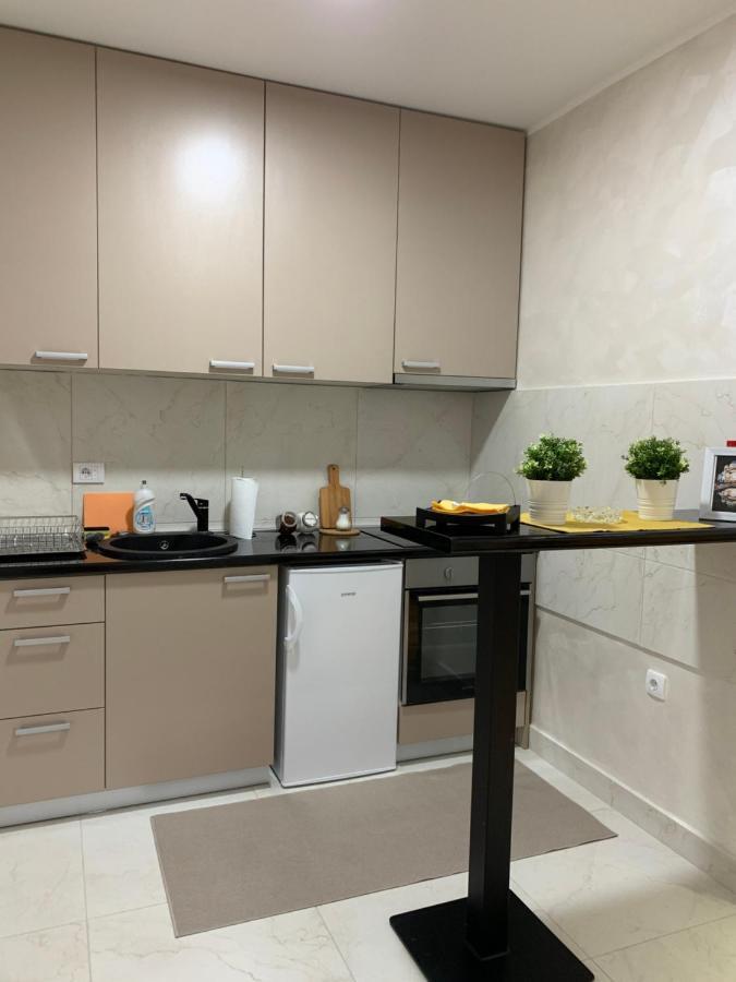 Apartmani Venera เบลเกรด ภายนอก รูปภาพ